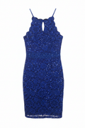 Royal Blue Sequin Lace Dress – White Background