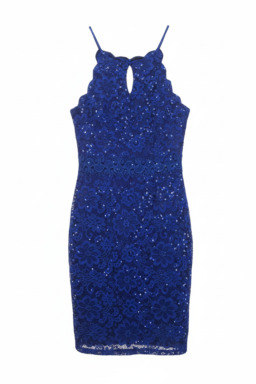 Royal Blue Sequin Lace Dress – White Background